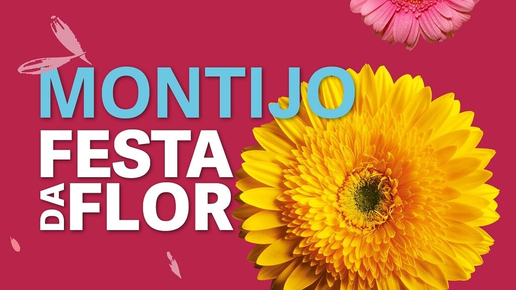 Festa da Flor está de regresso ao Montijo