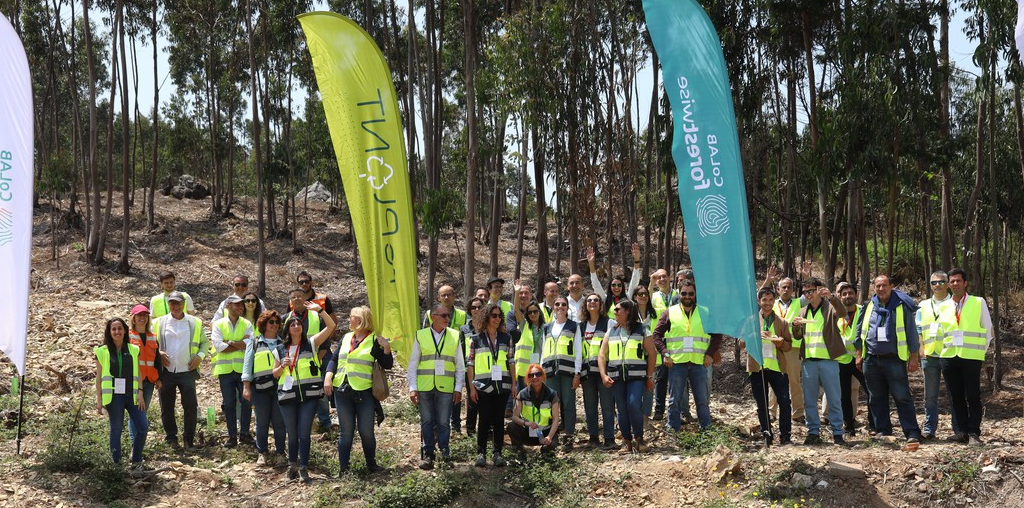 Tecnologias inovadoras aplicadas à floresta