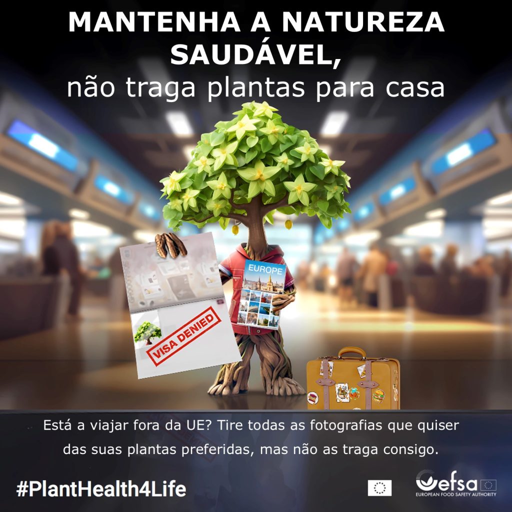 DGAV e EFSA lançam segundo ano da campanha #PlantHealth4Life