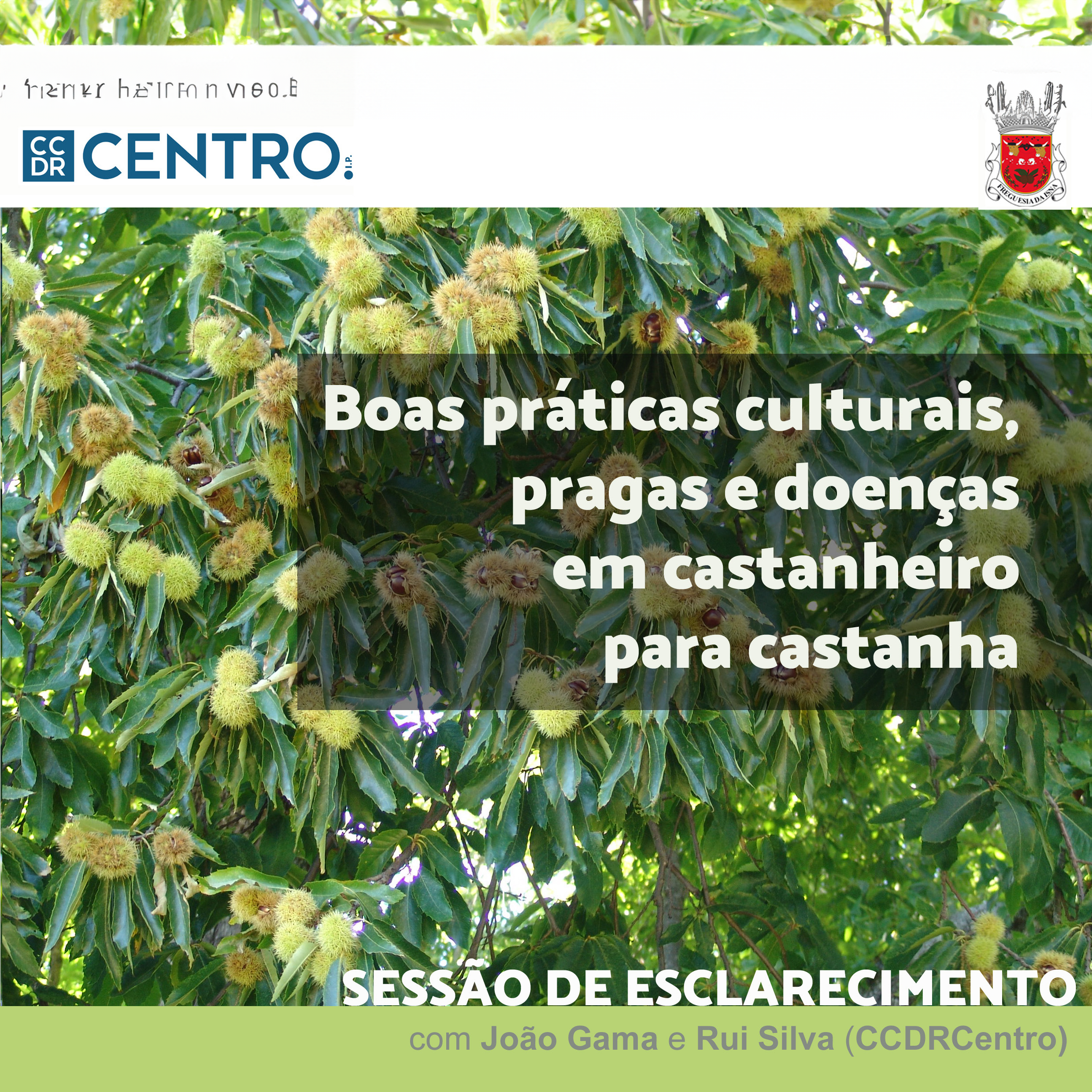 Sessão Informativa sobre Castanheiros em Oleiros