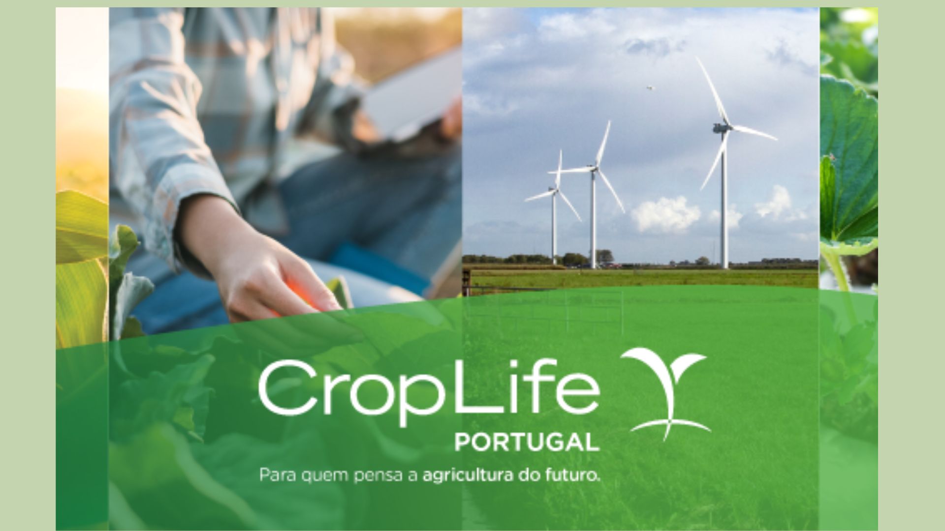 CropLife Portugal: Sector revela novos dados e reforça o seu compromisso com a Economia Circular