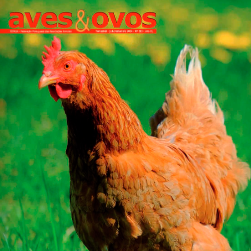 Edição 283 da Revista “Aves & Ovos” Agora Disponível