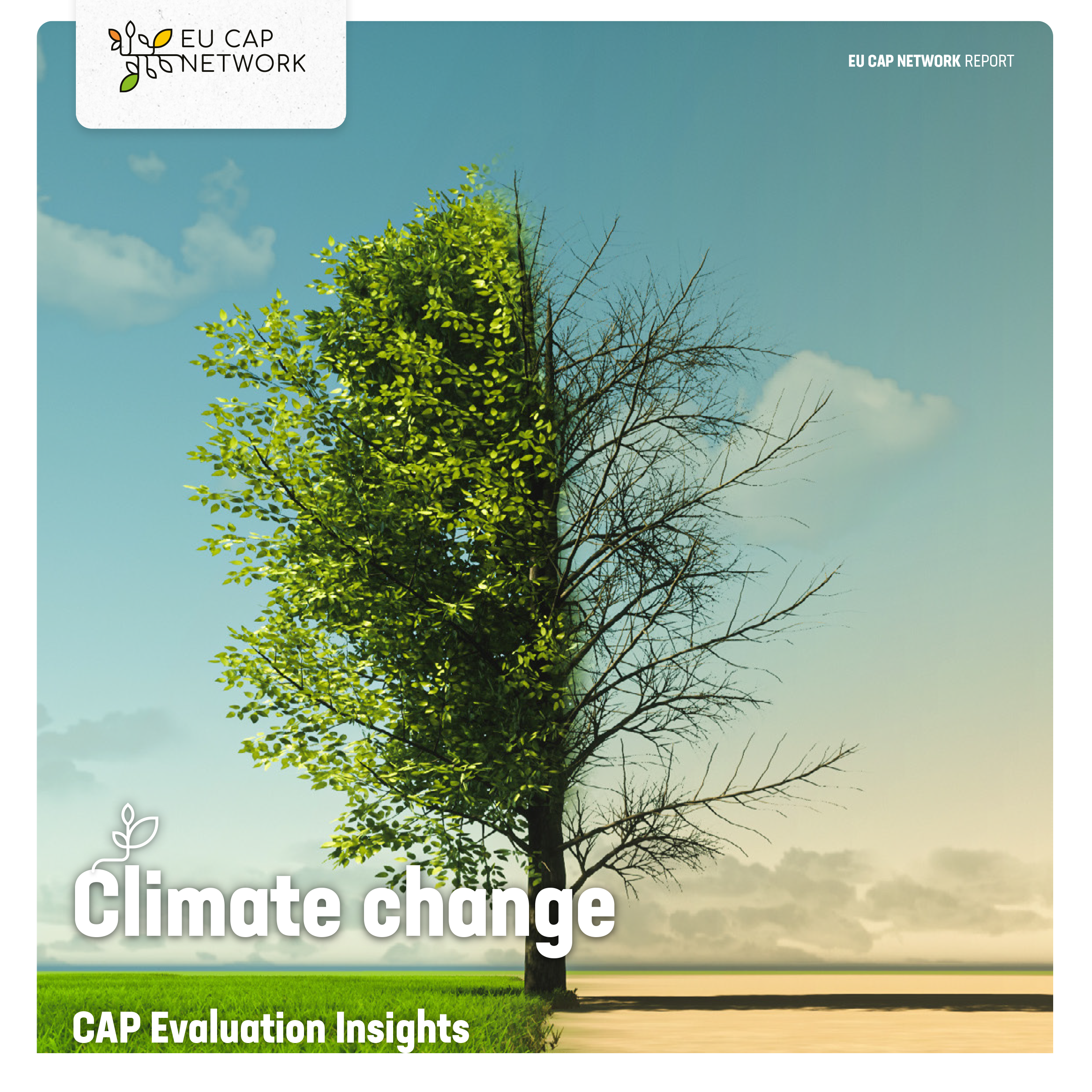 Novidades CAP Evaluation Insights: Alterações Climáticas