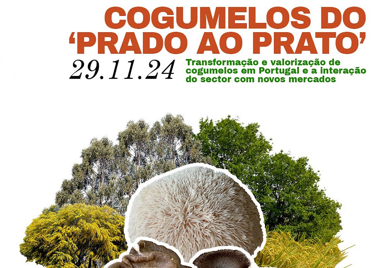 Seminário “Cogumelos do Prado ao Prato”