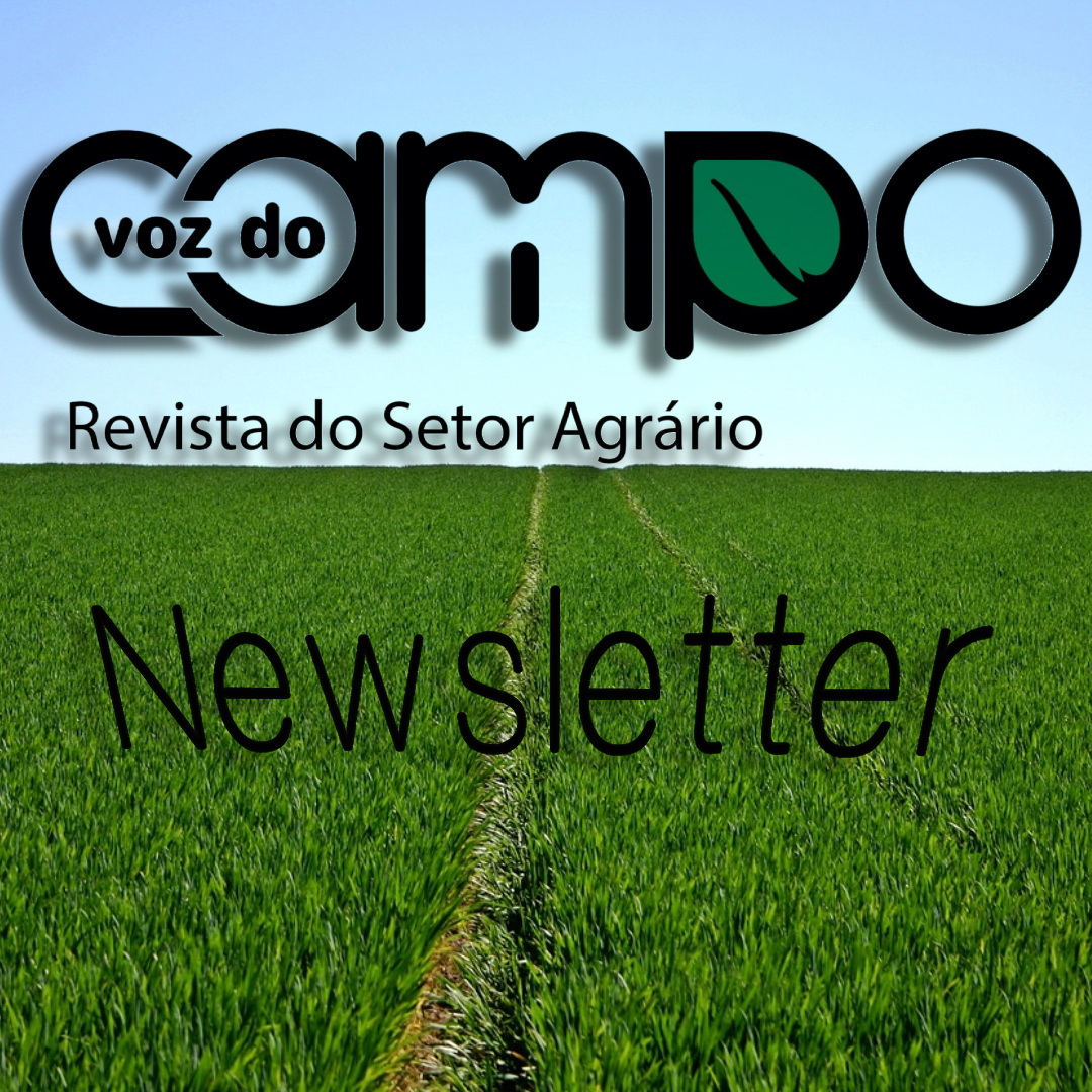 Newsletter Voz do Campo – 19 de novembro