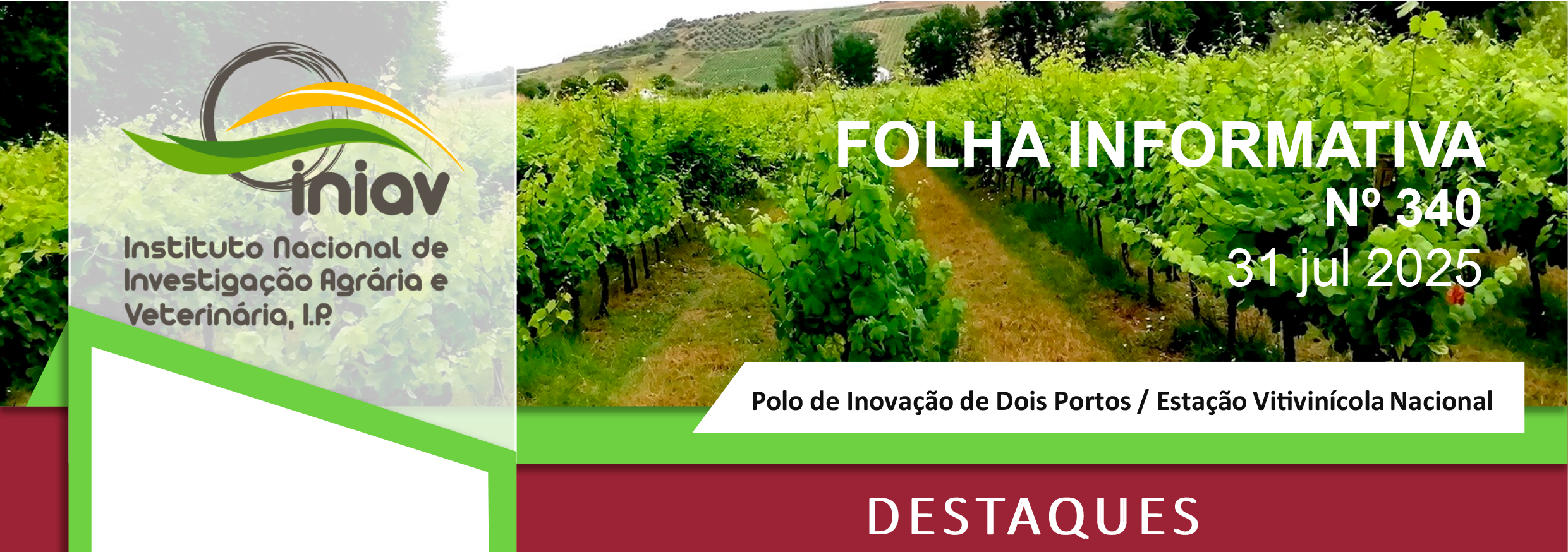 Publicada a edição nº 340 da Folha Informativa do INIAV – Dois Portos
