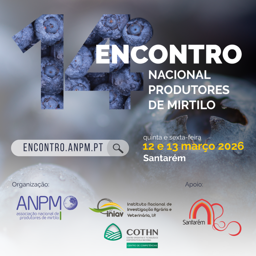 Santarém acolhe XIV Encontro Nacional de Produtores de Mirtilo em Março