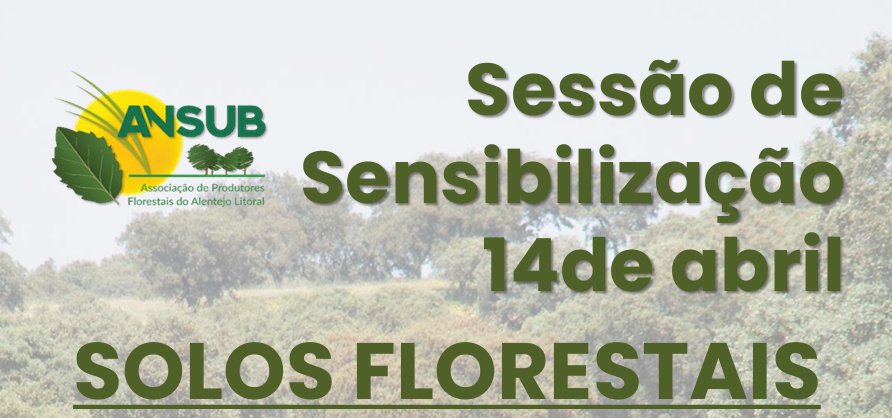 ANSUB | Sessão de Solos Florestais