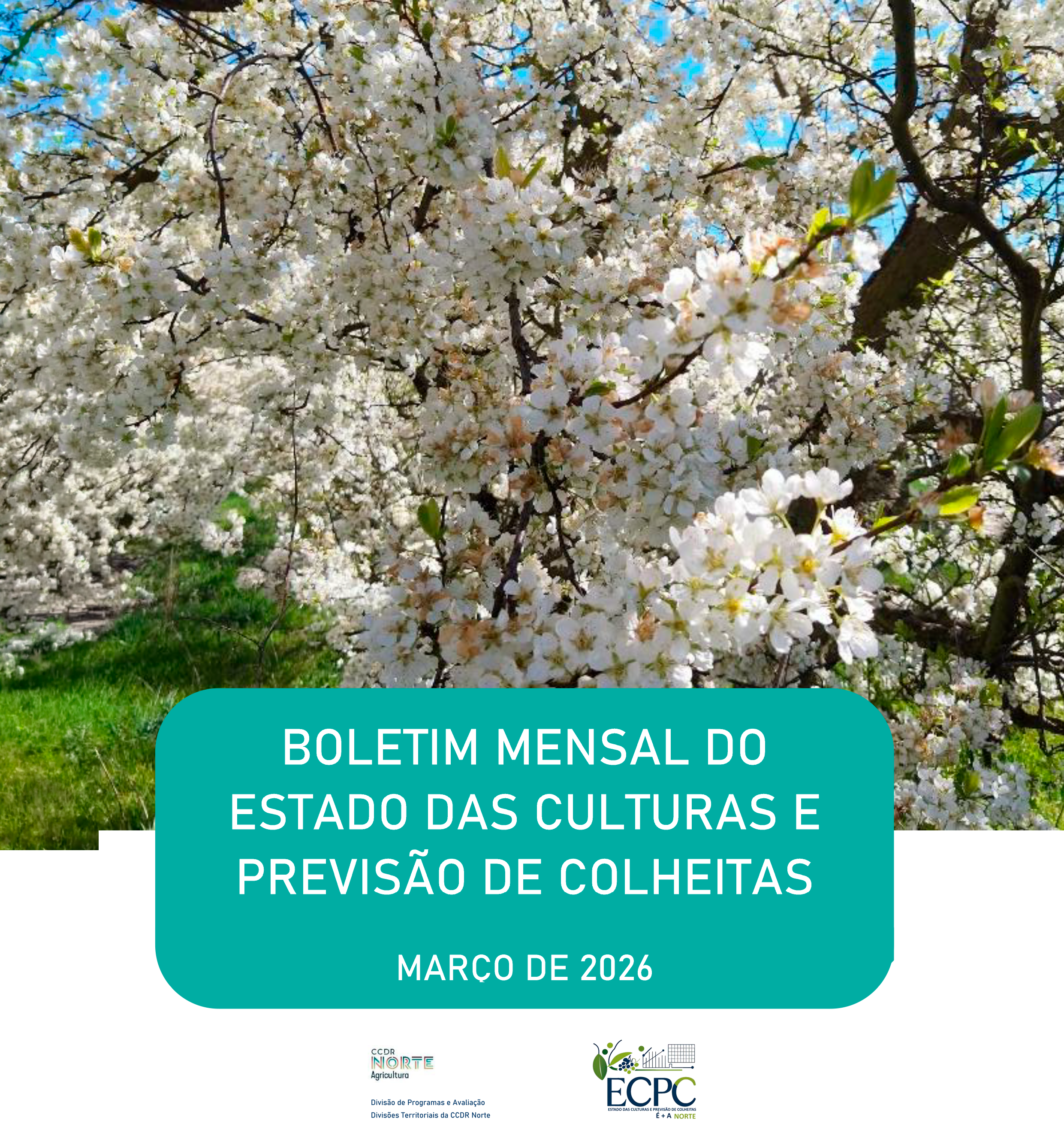 Boletim mensal dezembro: retoma agrícola e boas colheitas