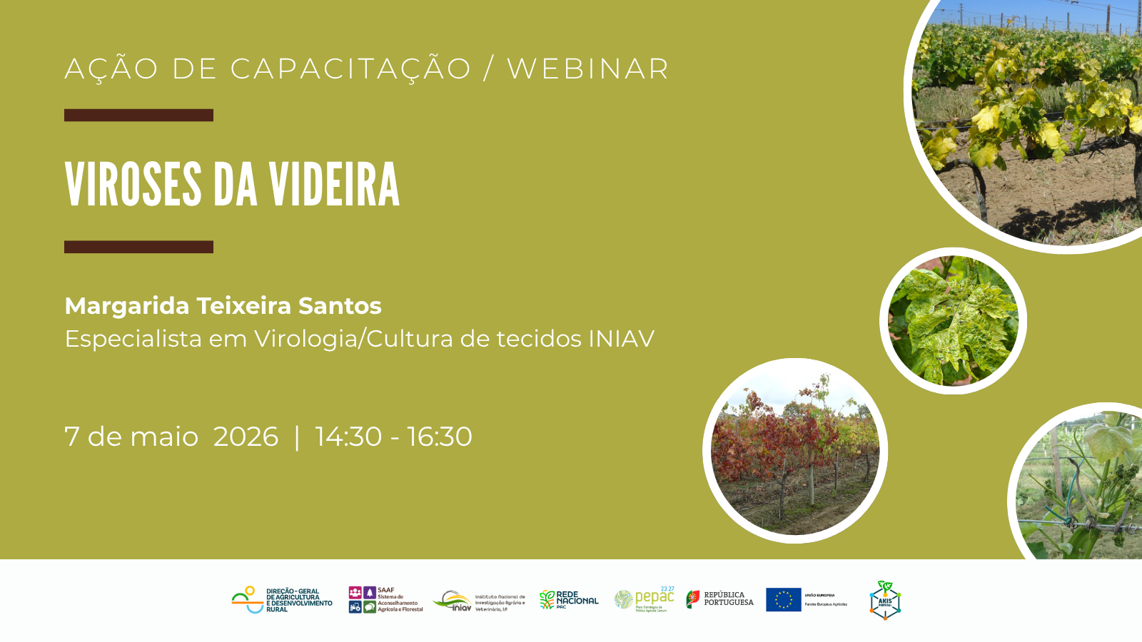 Webinar/Ação de Capacitação: Viroses da Videira | 7 maio