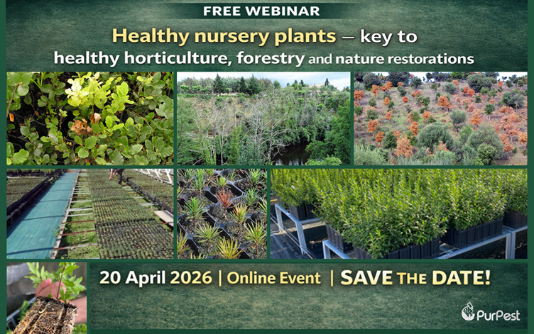 PurPest promove webinar sobre plantas de viveiro