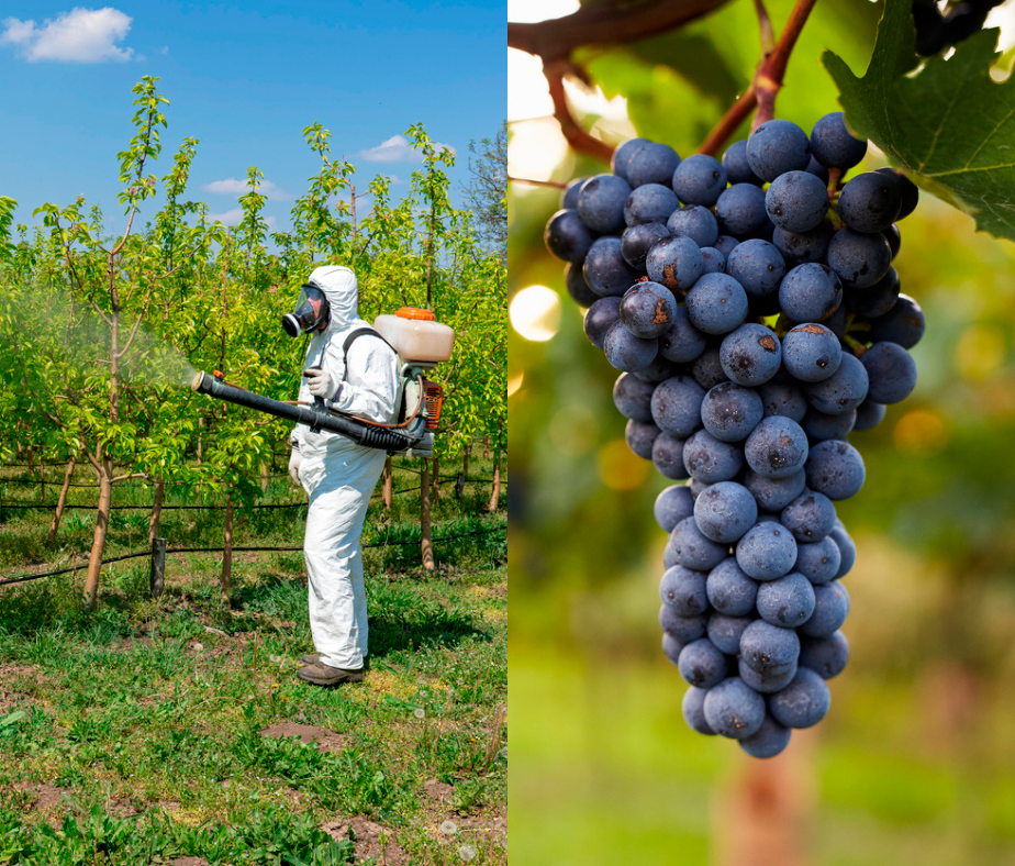 CONFAGRI – Formação certificada