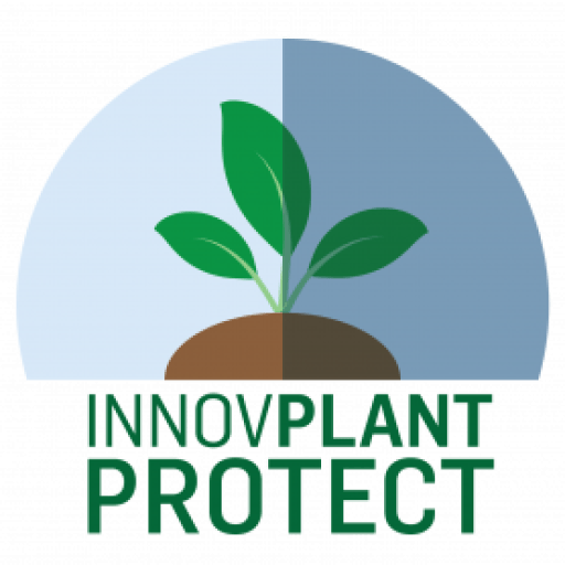 Nova tecnologia biológica desenvolvida pelo InPP e pela Fertiprado promete reforçar sustentabilidade das pastagens